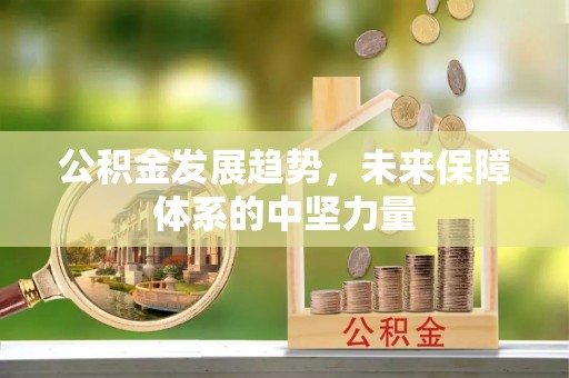 同德公积金发展趋势，未来保障体系的中坚力量