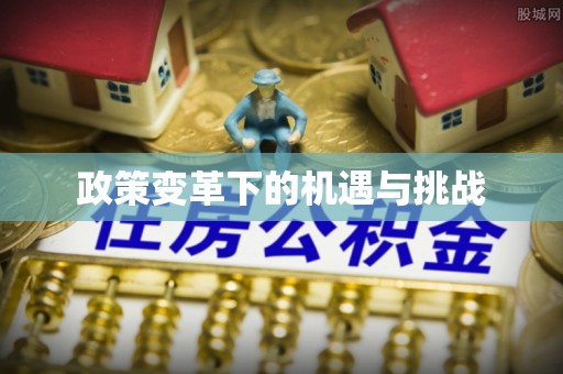 同德政策变革下的机遇与挑战