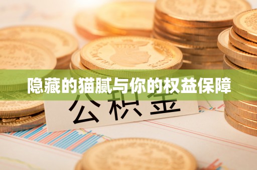 同德隐藏的猫腻与你的权益保障