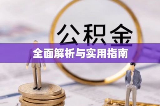 同德全面解析与实用指南